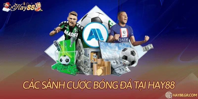 các sảnh cược bóng đá