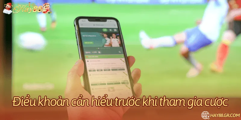 Tổng hợp các điều khoản quan trọng của nhà cái 