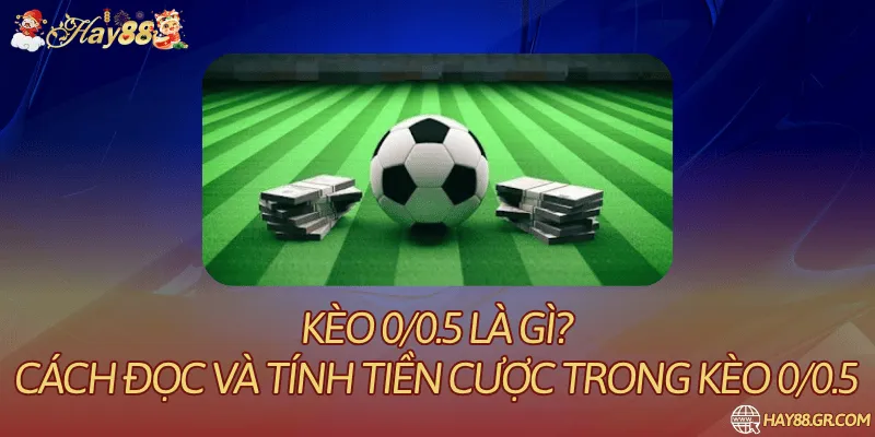 kèo 0/0.5 là gì